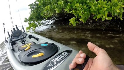Ultimate Inshore Fishing Kayak Rigging: Pelican Strike 120x Angler