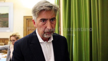 Affaire Fiona : Me Costantino, avocat d'Enfance et partage