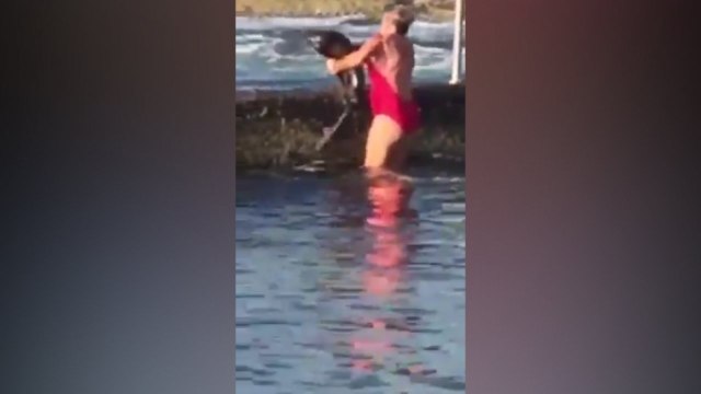 Australian woman wrestling a shark goes viral
