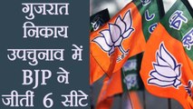 BJP wins Six seats in local body by polls of Gujarat । वनइंडिया हिंदी