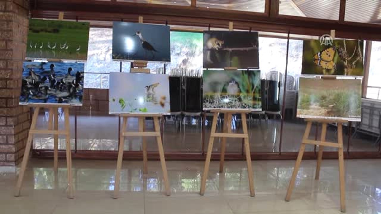 Kırıkhan'da Resim Sergisi