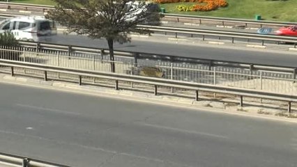 Suriye Sınırına Askeri Sevkıyat