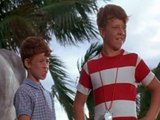 Flipper 1964 S02e12 Flipper And The Horse Thieves