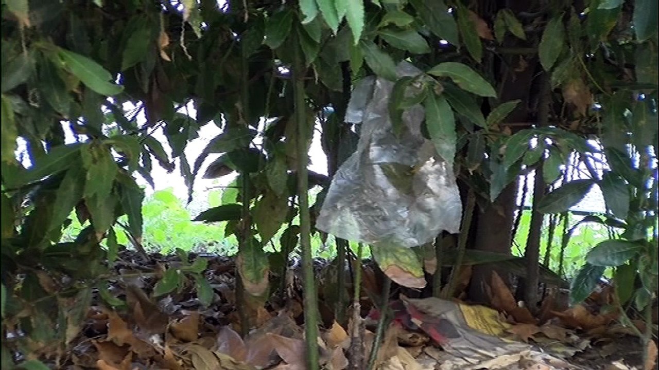 Sos Tcs dal Villaggio Santa Barbara - Sos Tcs dal Villaggio Santa Barbara