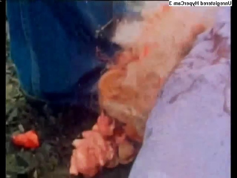 Las Mejores Escenas Gore De Películas Bizarras (+18)