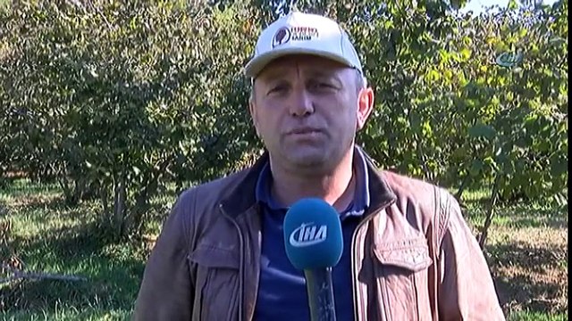 Ziraat Mühendisleri Uyardı: ''Hasat Sonrası Bahçelerinizi Terk Etmeyin''