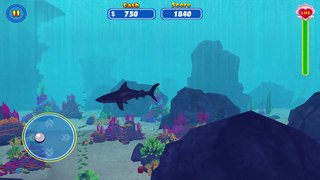 Shark Attack Wild Simulator Android Gameplay