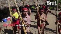Les Yanomami, peuple autochtone massacré par la ruée vers l’or
