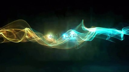 رقاصة لبنانية بتحرك كل قطعة بجسمة لحالها يا ويلي