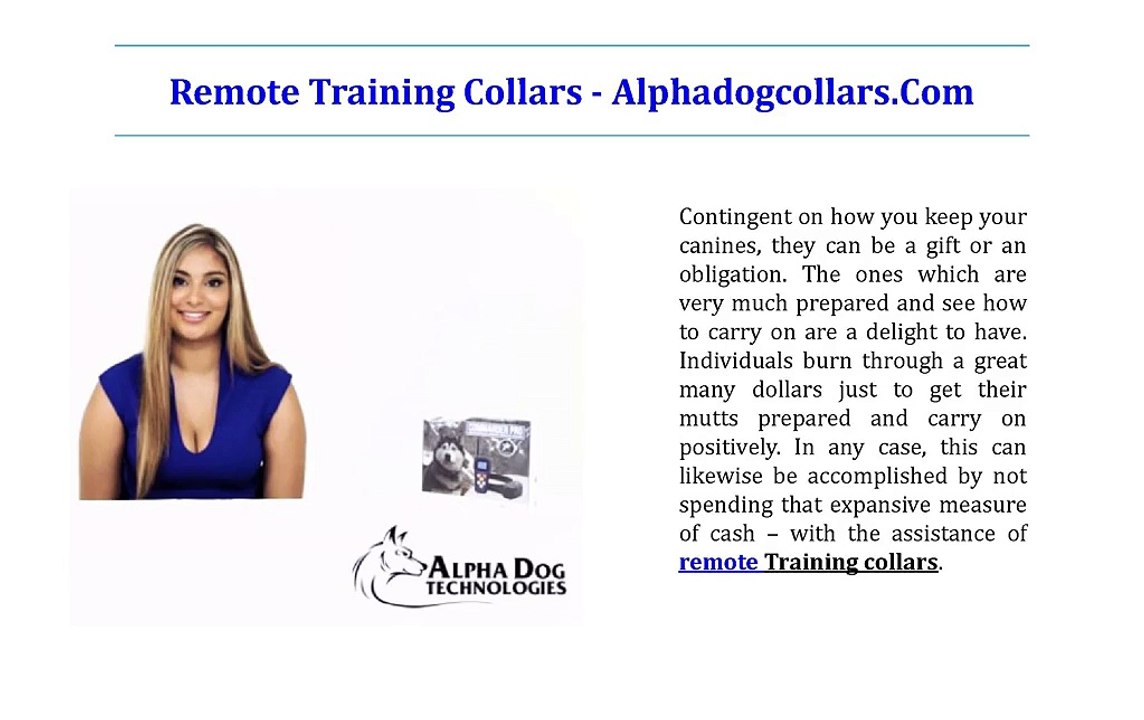 Remote Training Collars - Alphadogcollars Com