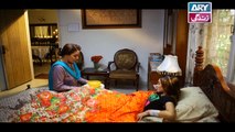 Mere Baba ki Ounchi Haveli - Episode 226 on Ary Zindagi in High Quality - 11th October 2017