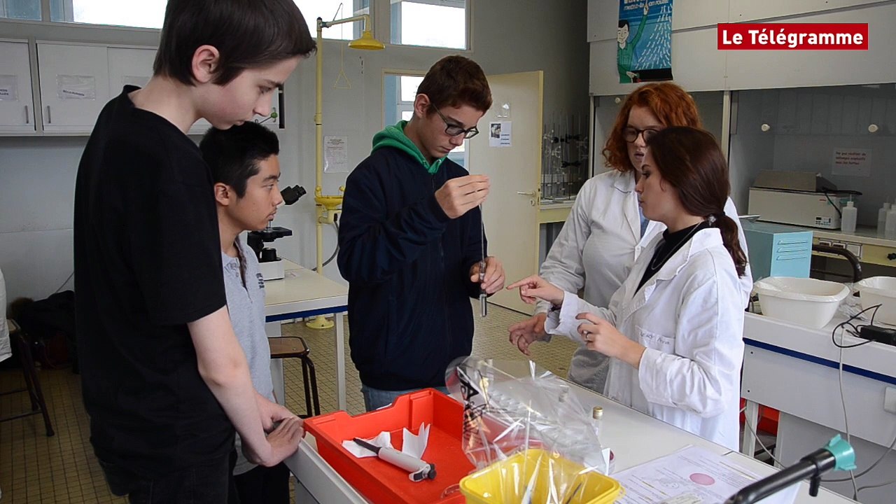 Quimper. Fête de la science : des lycéens de Chaptal se muent en enseignants