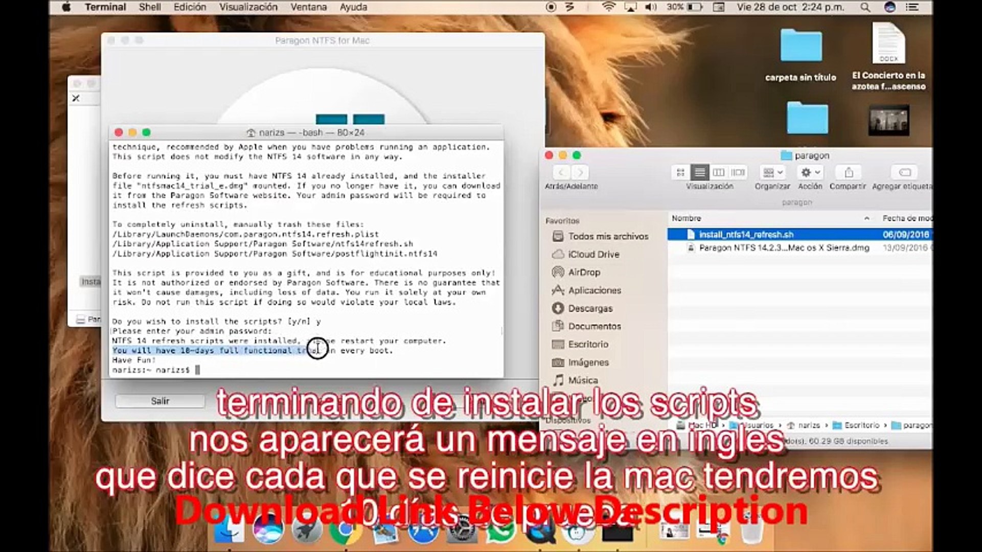 Paragon ntfs driver for mac