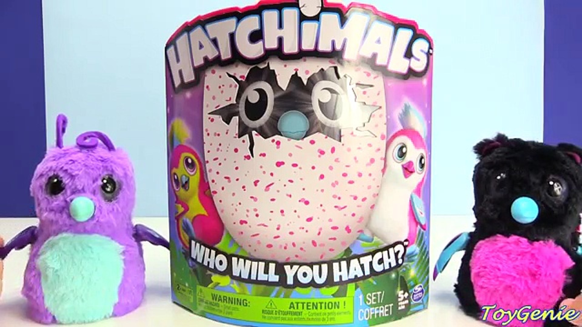 toy genie hatchimals