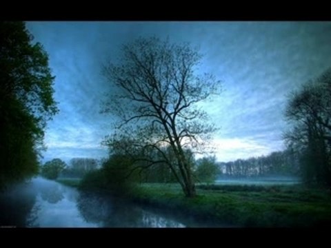 Prezioso ft Marvin - Survival (Tune Up! vs DJ Manian Remix)