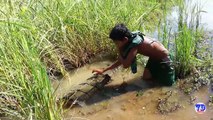 Amazing Children Catch Crabs - How To Catch Crabs Using The Net In Cambodia