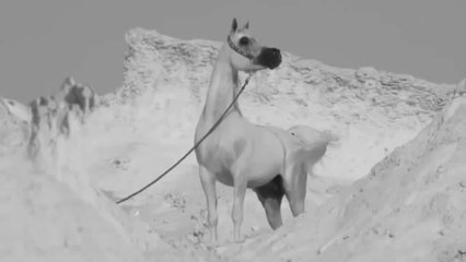 الأغنية العربية التي تفوقت على النسخة التركية الأصلية قيامة أرطغرل