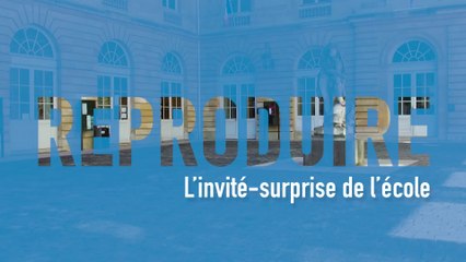 MOOC L’art moderne et contemporain en 5 gestes - REPRODUIRE - L’invité-surprise de l’École