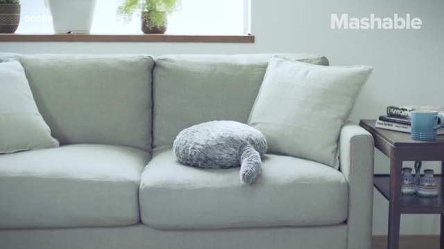 Get your fluffy cat snuggles without the cat