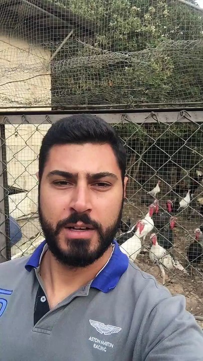 Turkey Pack