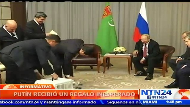 ¡Sorpresa canina! Presidente de Rusia recibió un cachorro alabai por su cumpleaños