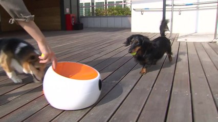 예비 창업자라면, '서울창업허브'를 찾으세요! / YTN