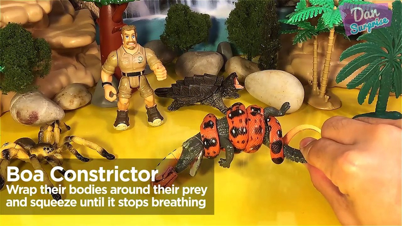 8 TERRIFYING WILD ANIMALS SURPRISE TOYS 3D PUZZLES for kids - Great White Shark Tiger Lion Bear