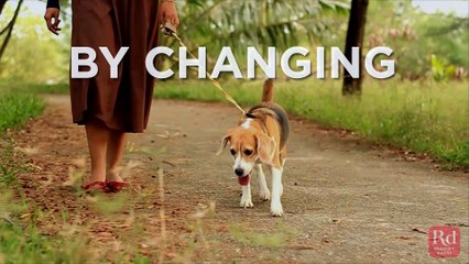 How Not To Give Your Dog ANXIETY