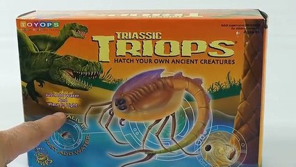 Triassic Triops Hatch Your Own Ancient Creatures Kit, by Toyops (Day 1)