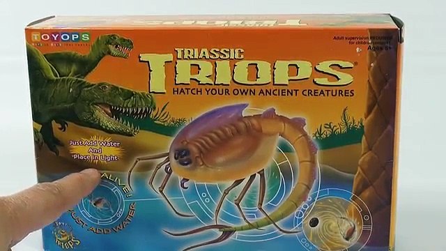 Triassic Triops Hatch Your Own Ancient Creatures Kit, by Toyops (Day 1)