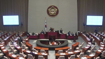 개헌특위, 내년 2월 개헌안 마련...5월 24일까지 의결 / YTN