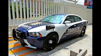 5 Patrullas Mas Usadas Por La Policía De México