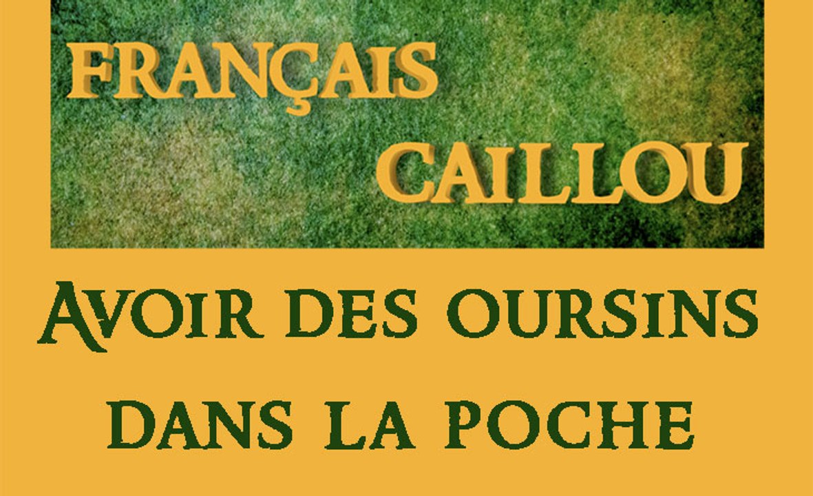 Français caillou / Définition du jour : "Avoir des oursins dans la poche"