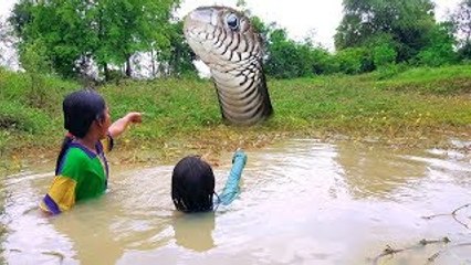 Guess What? Little Sisters See Big Snake While Finding Frogs in Water