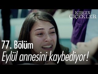 Eylül annesini kaybediyor! - Kırgın Çiçekler 77. Bölüm - atv