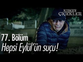 Hepsi Eylül'ün suçu! - Kırgın Çiçekler 77. Bölüm - atv