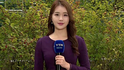 [날씨] 갑작스런 가을 추위...낮에도 '쌀쌀', 곳곳 비 / YTN
