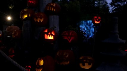Roger Williams Park Zoo JACK-O-LANTERN SPECTACULAR