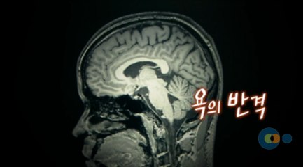 지식채널e - 클래식 시리즈 욕의 반격