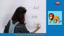 Alphabets & Words With Pictures | Two Letter Words With Spellings | Cursive ABCD Writing For Babies