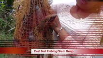 Amazing cast net - Cast Net Fishing in Siem Reap - Beautiful Girl Fishing