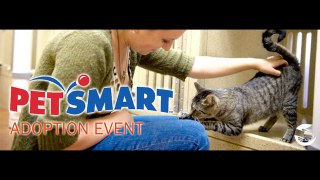 Petsmart Coupons and Discounts