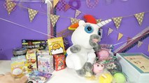 WHEEL OF SQUISH! Cutting OPEN Squishy Toys! Dookie The Unicorn! Blind Bags FUN! Doctor Squish