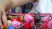 Peppa Pig George e Papai Pig Montam Moto Aprilia Brinquedos Minecraft Peppa Pig Toys
