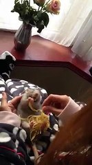 Spagetti bu kadar mı güzel yenir