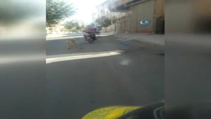 Köpeğin Boğazına İp Geçirip Motosikletin Arkasına Bağladı