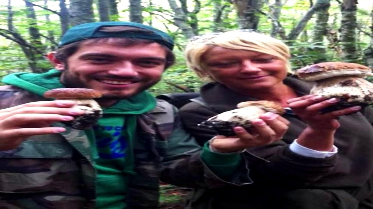 Funghi Porcini documentario immagini