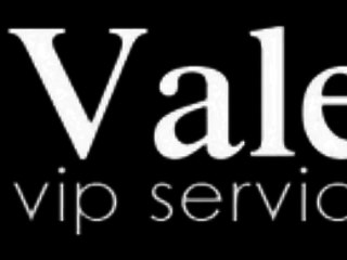 הסעות לאמנים