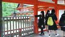 A Short Clip of My School Trip In Japan  Euodias