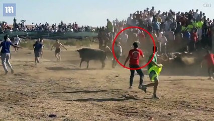 TERRIBLE : un homme violemment attaqué par un taureau lors d’un festival.